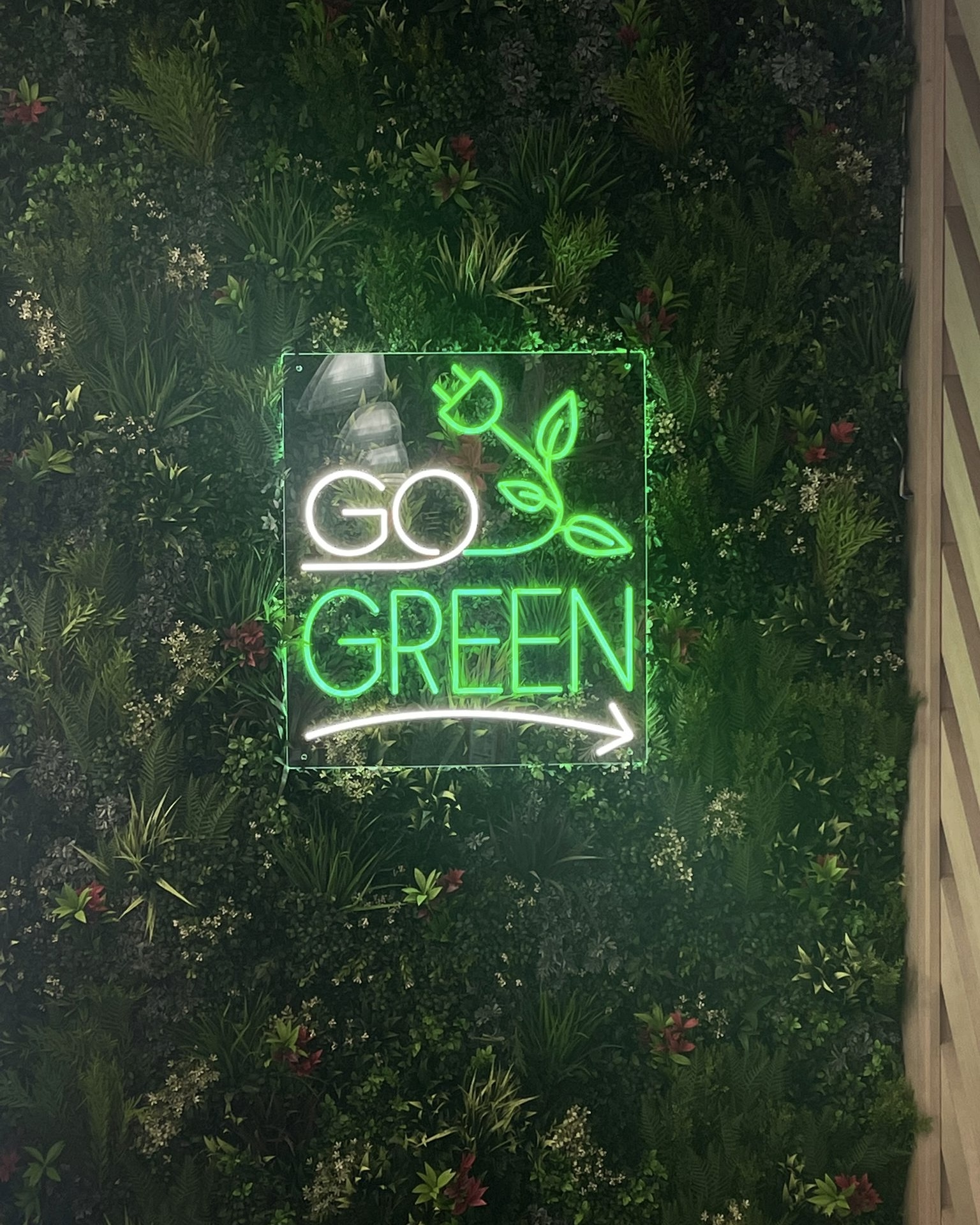 Go Green neon on living plant wall