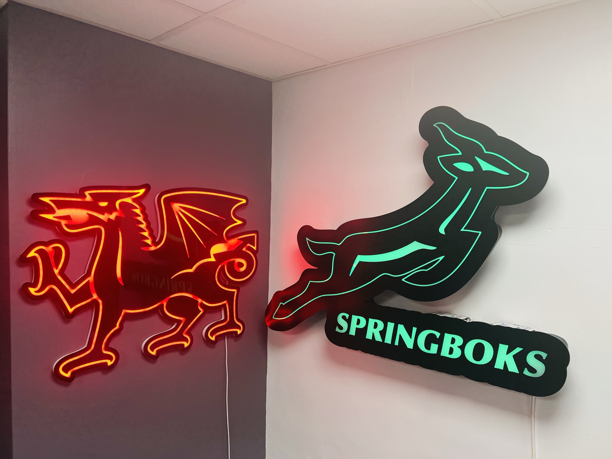 LED Neon Signs project 4